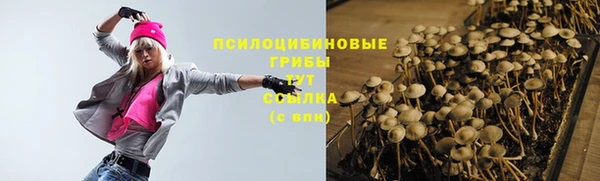 spice Гусев