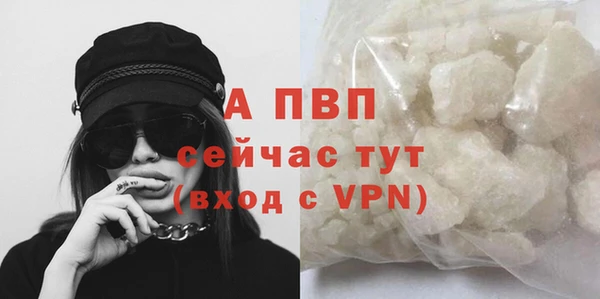spice Гусев